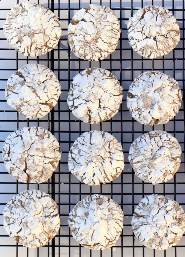 Cinnamon Crinkle Cookies Recipe