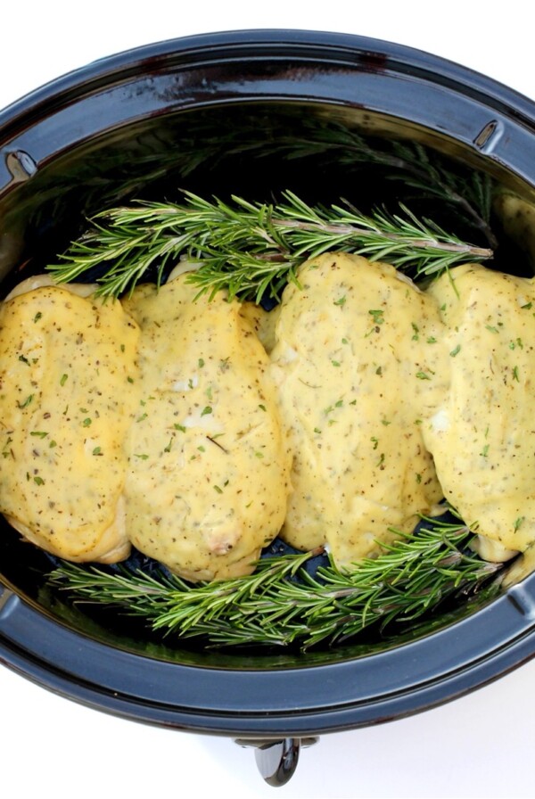 Cooked Chicken with creamy Italian sauce in slow cooker.
