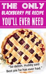 Blackberry Pie Recipe Easy