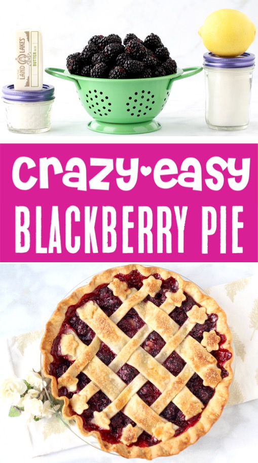 Pie Recipes Easy Thanksgiving Blackberry Pie Recipe