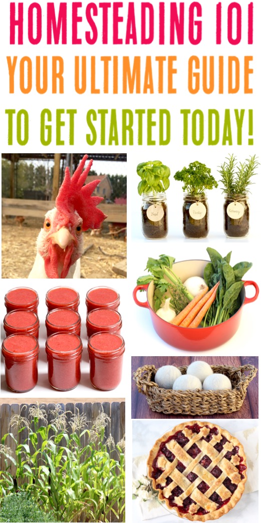 Homesteading for Beginners Step by Step Ideas, Gardening Tips, Animal Care Tricks, and Heritage Recipes to Get Started on your Modern Day Homestead Today