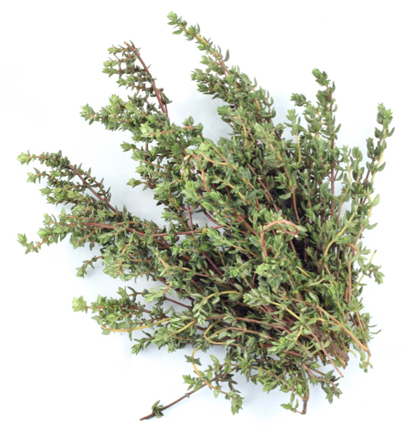 How to Dry Thyme Leaves