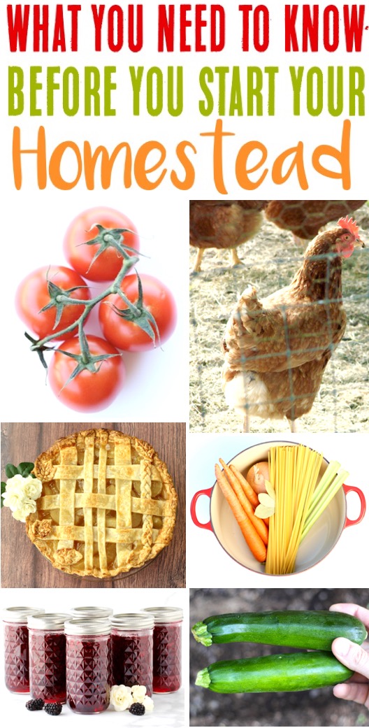 Homesteading Ideas for your Homestead Kitchen, Garden Layout, Chickens and More - Heritage Recipes and Easy DIY Projects for the Ultimate Homestead