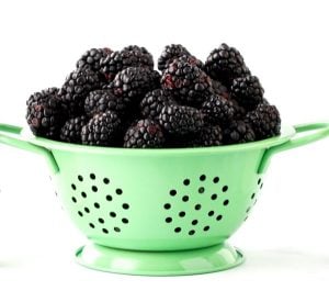 Green colander of blackberries.