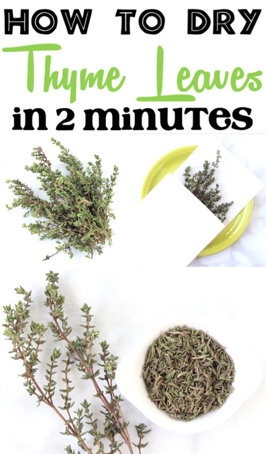 How to Dry Thyme Plant Leaves Fast in Microwave