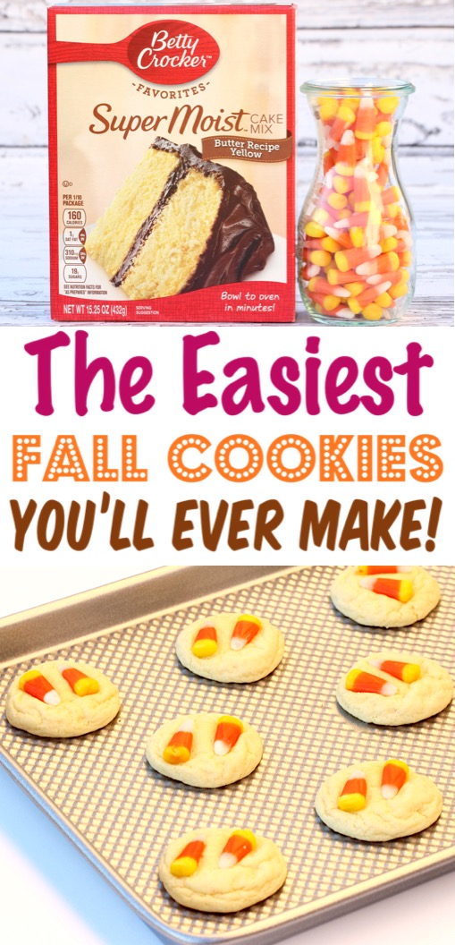 Fall Cookies Recipes Easy