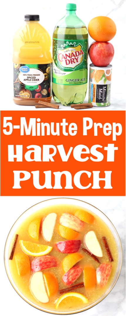 Party Punch Recipes Fall Harvest Apple Spice Punch Recipe