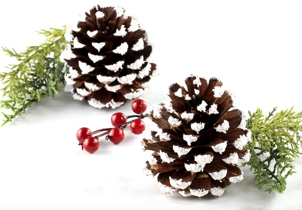 Pine Cone Christmas Tree Craft - Grandma Ideas