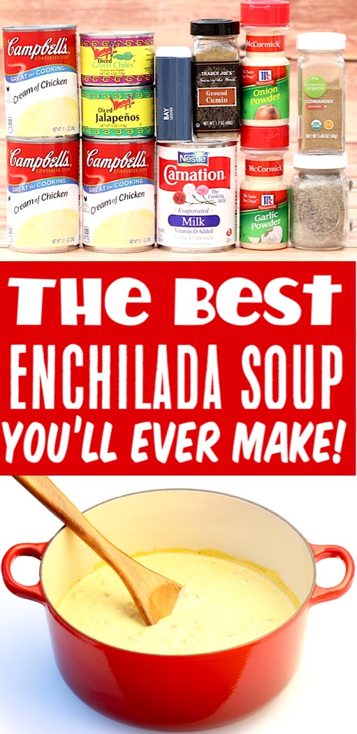Soup Recipes Easy Chicken Enchilada Soup