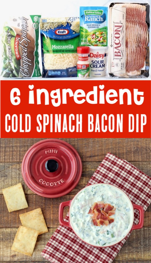 Dip Recipes Easy Appetizers for Chips - Cold Spinach Bacon Dip Recipe