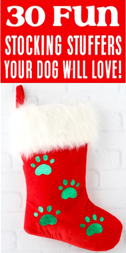 Dog Gifts Ideas for Christmas