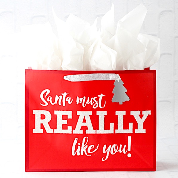 Funny Christmas Gift Ideas for Teens List