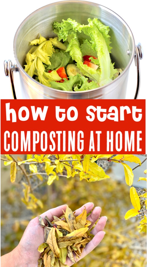 Composting for Begginers - What Type of Bin to Use, What to Put In Your Compost Bin