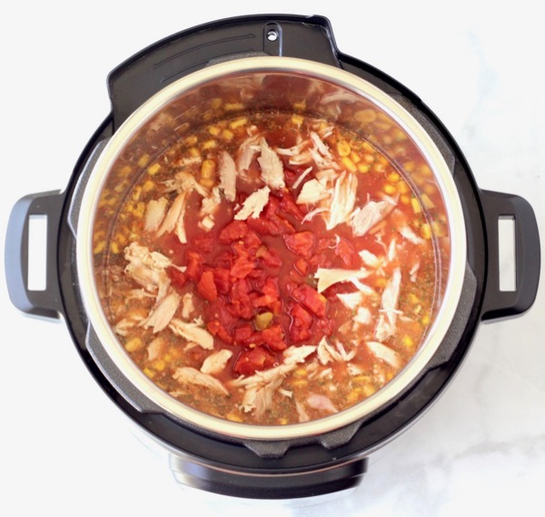 Instant Pot Chicken Tortilla Soup Easy
