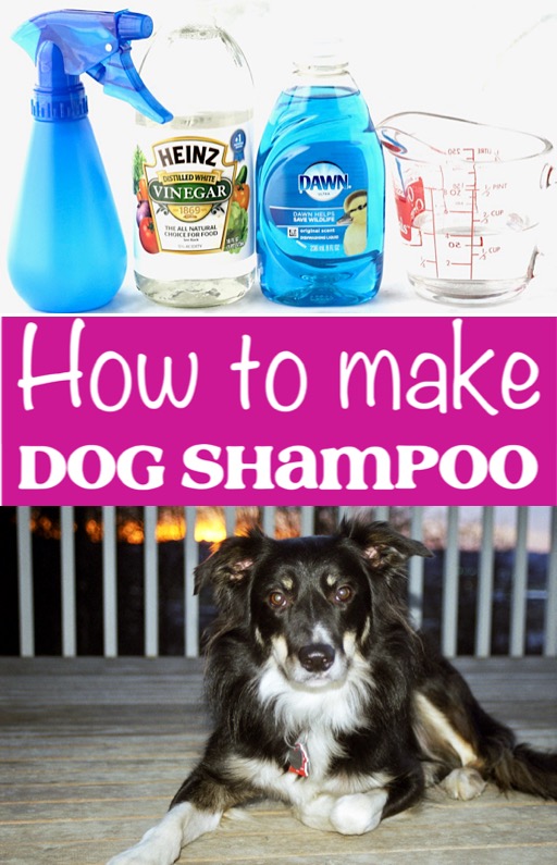 Dog Shampoo Recipe! {3-Ingredient DIY Spray}