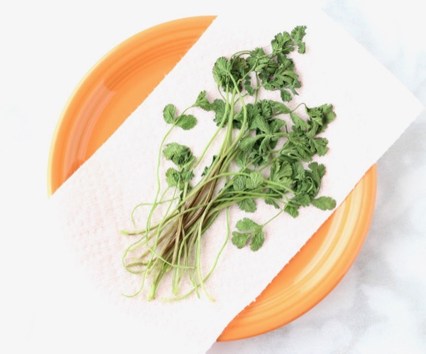 How to Dry Fresh Cilantro in Microwave