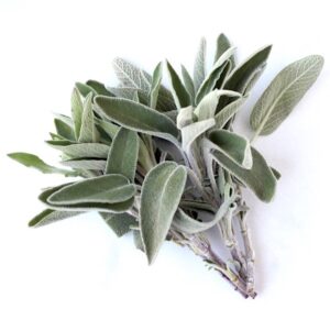 How to Dry Sage in the Microwave Tip