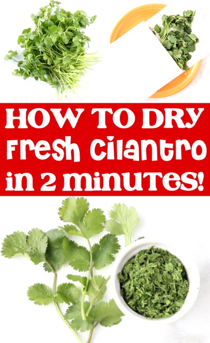 How to Dry Cilantro - Drying Herbs Trick