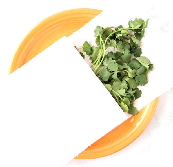 How to Dry Cilantro in Microwave Trick