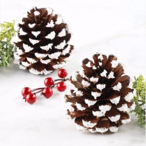 DIY Snowy Winter Wonderland Pine Cones