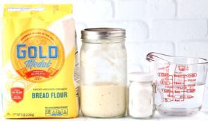 Bread flour, sourdough starter, salt, and water.