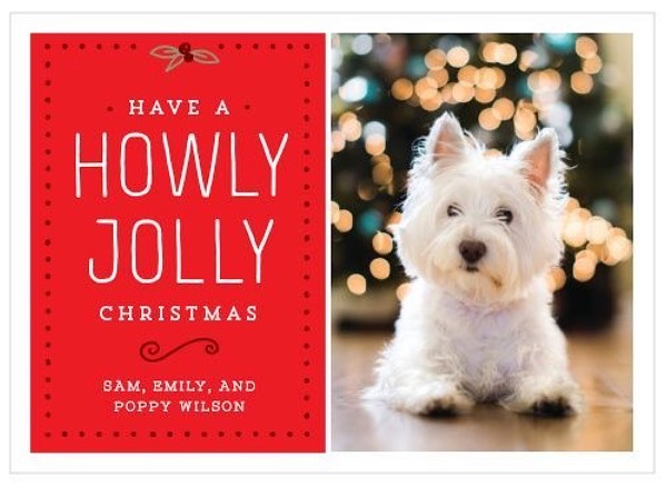 Holiday Cards - Basic Invite