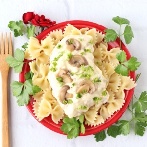 Chicken stroganoff over noodles on a red plate.