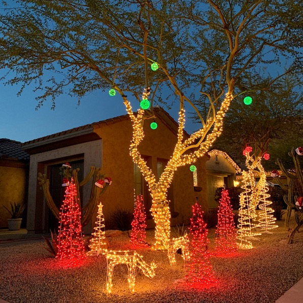 How To Decorate Your Trees Outside For Christmas | Shelly Lighting