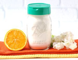 Homemade Toilet Bowl Cleaner Recipe