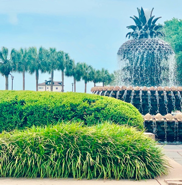 Charleston South Carolina Things To Do Pineapple Fountain
