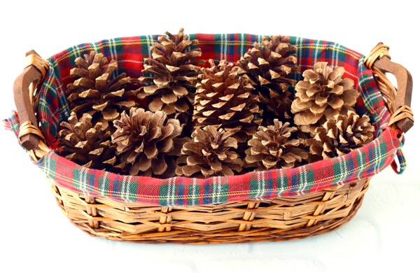 Cinnamon Scented Pinecones