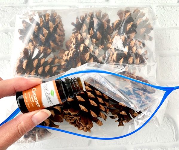 DIY Cinnamon-Scented Pine Cones