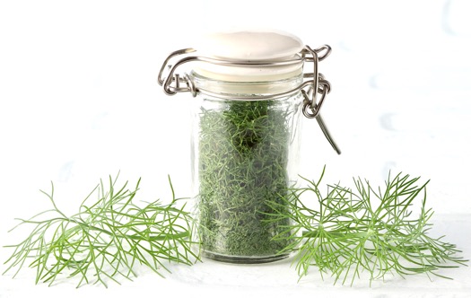 How to Dry Dill