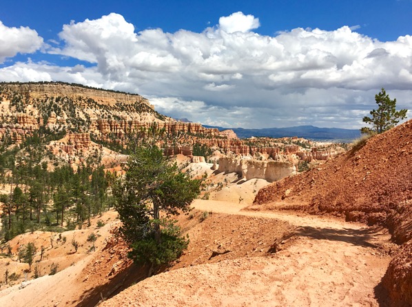 Trail on the side of a canyon.