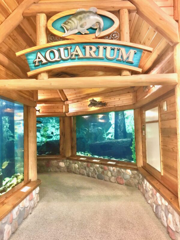 Cabela's aquarium outlet