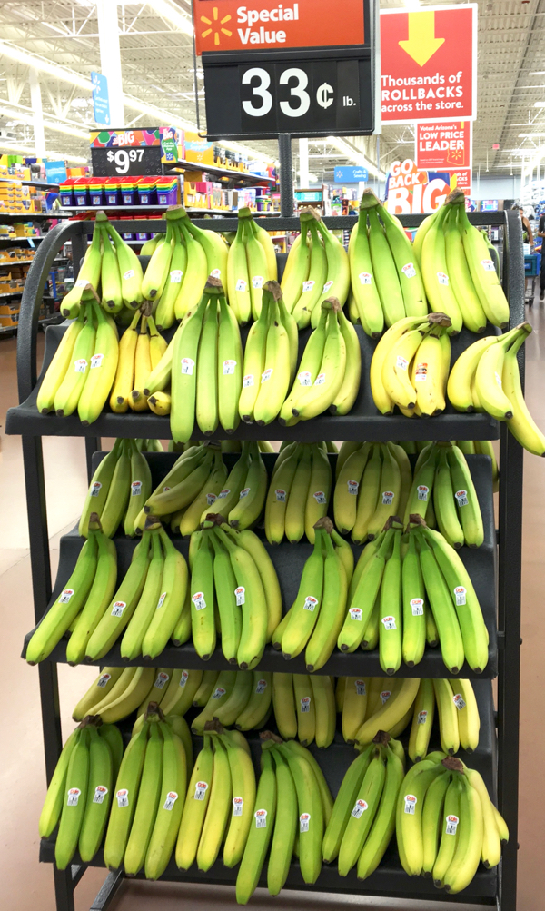 Clusters of bananas on rack inside Walmart.