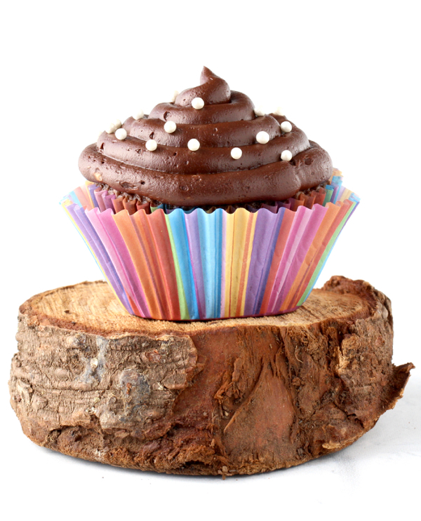 Chocolate frosted cupcake sitting on slice of wood.