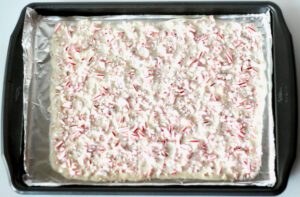 White chocolate peppermint bark topped with crushed candy canes on cookie sheet.