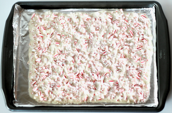 White chocolate peppermint bark topped with crushed candy canes on cookie sheet.