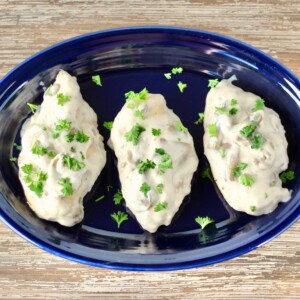 Blue platter of cream of mushroom chicken.