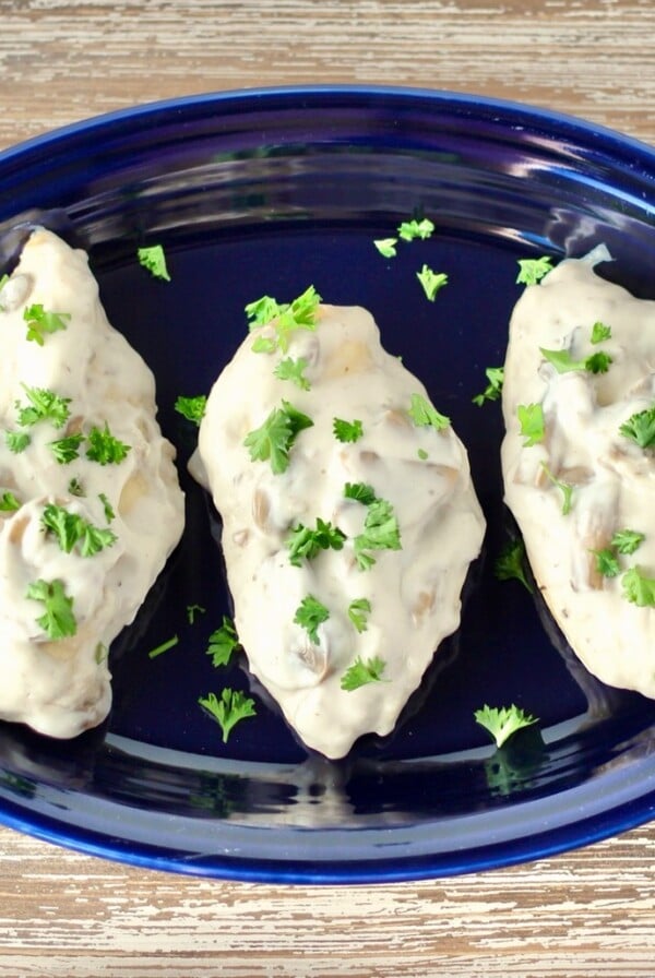 Blue platter of cream of mushroom chicken.