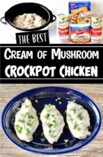 Crockpot Chicken Recipes Cream of Mushroom