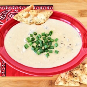 Red bowl of French onion dip.