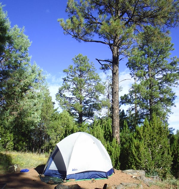 Tent at campsite surrounded by trees.