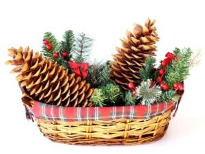 Two large pinecones in basket with artificial greenery.