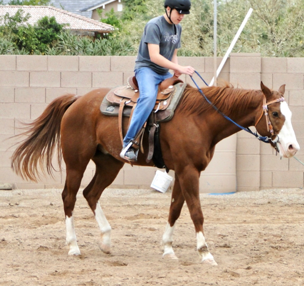 Boy riding horse in arena.