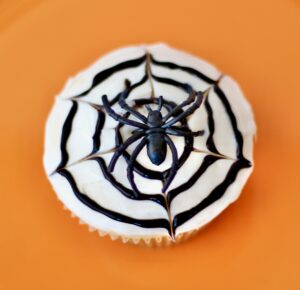 Cupcake frosted like a spider web with plastic spider ring in center.