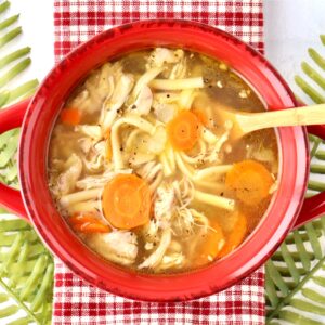 Chicken noodle soup in with carrots and rotisserie chicken in bowl.