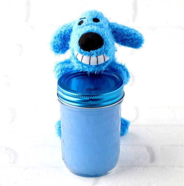 Homemade dog shampoo in jar with dog toy in the background.