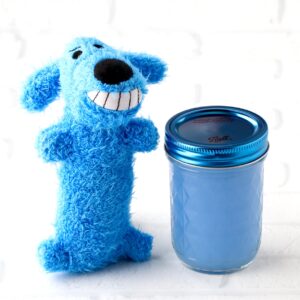 Homemade dog shampoo in mason jar with dog toy to the side.